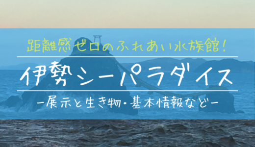 伊勢シーパラダイス 伊勢夫婦岩ふれあい水族館 を割引料金で楽しむ方法 ぎょぎょさんぽ