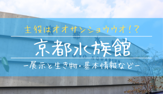 京都水族館を割引料金でお得に楽しむ方法 Webやコンビニで簡単購入 ぎょぎょさんぽ