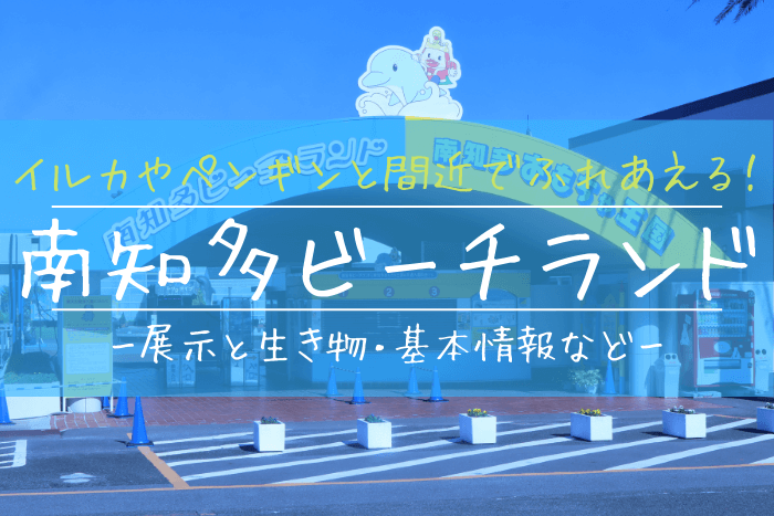 南知多ビーチランドの見どころを徹底解説 イルカやペンギンのふれあい水族館 ぎょぎょさんぽ