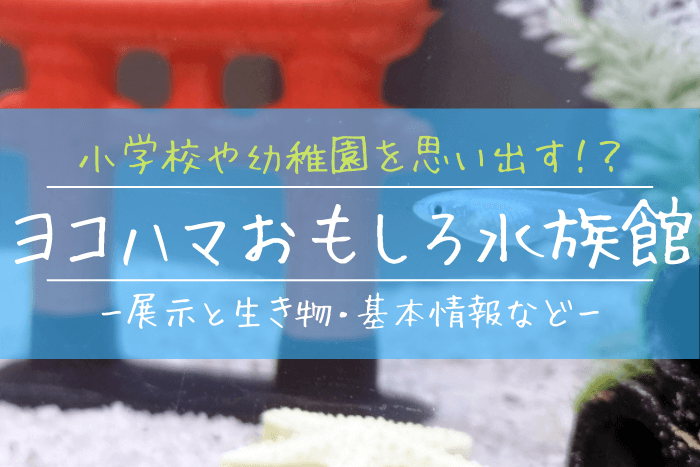 ヨコハマおもしろ水族館の見どころを徹底解説 小学校や幼稚園を思い出す ぎょぎょさんぽ