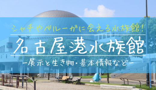 見分け方 名古屋港水族館のシャチを紹介 名前 ぎょぎょさんぽ