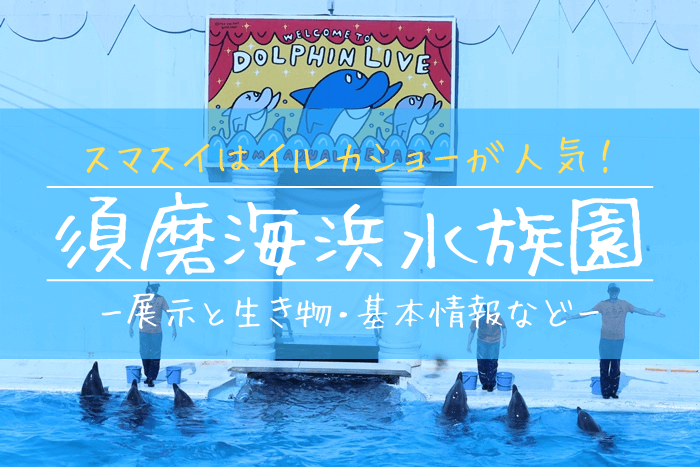 須磨海浜水族園の見どころを徹底解説 スマスイはイルカショーが人気 ぎょぎょさんぽ