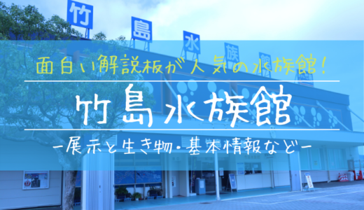 竹島水族館を割引料金で楽しむ方法 簡単に使えるクーポンまとめ ぎょぎょさんぽ