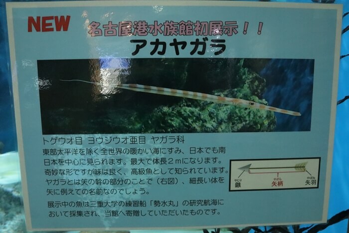解説パネル