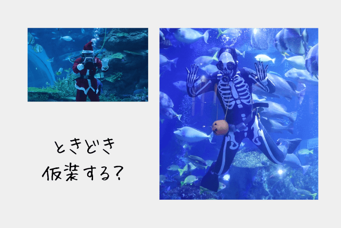 潜水ダイバーはときどき仮装する？