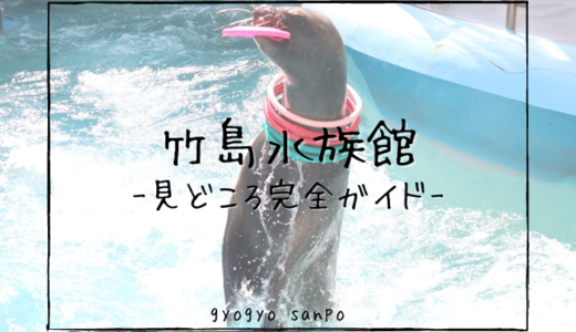 竹島水族館は生き物のクセがすごい？【見どころ完全ガイド】