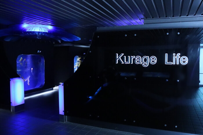 Kurage Life（クラゲライフ）