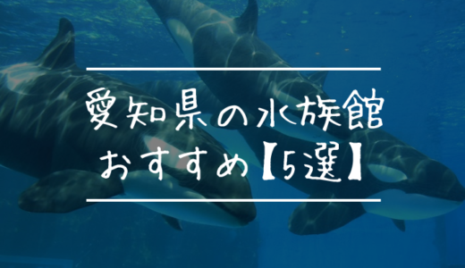 愛知県のおすすめ水族館5選｜地元在住のぎょぎょぎょが解説